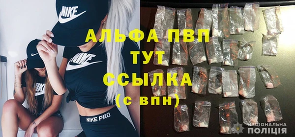 мяу мяу мука Белокуриха