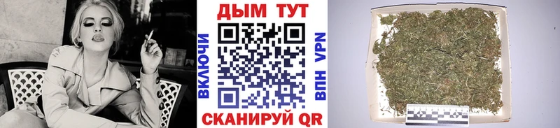 МАРИХУАНА ГИДРОПОН Цоци-Юрт